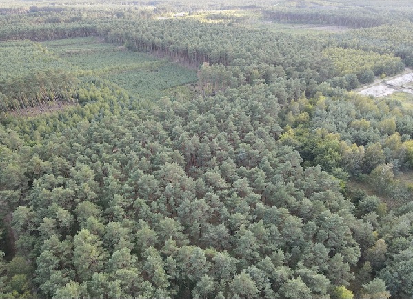 <p>Na zdjęciu widoczna jest strefa przy kompleksie składowisk odpadów "Zielona" w Bydgoszczy. Co przedstawia?</p>
